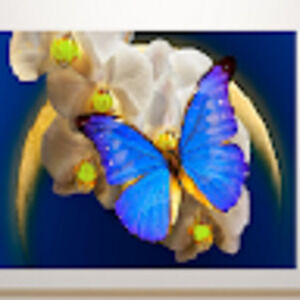 Meet your Posher, Cintia